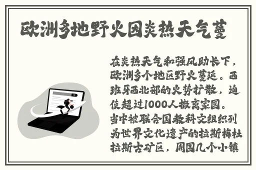 野花视频最新